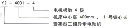 YR系列(H355-1000)高压YJTGKK6301-8三相异步电机西安西玛电机型号说明